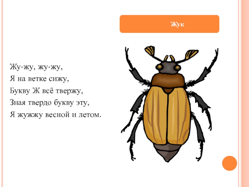 Жу жу жу жужжит. Не жужжит. Жук жужжит звук ж. Буква ж жужжит как жук. Я на ветке сижу и жужжу.