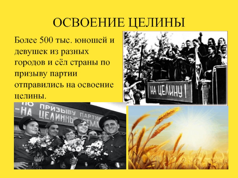 Где находится целина. Целина Хрущев. Освоение целины при Хрущеве. Освоение целины презентация. Освоение целины 1954г.