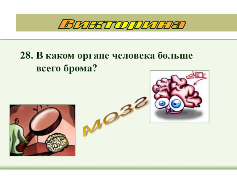 28 биология. В каком органе больше всего брома. Викторина самый по органам человека. Мозг viktorina.