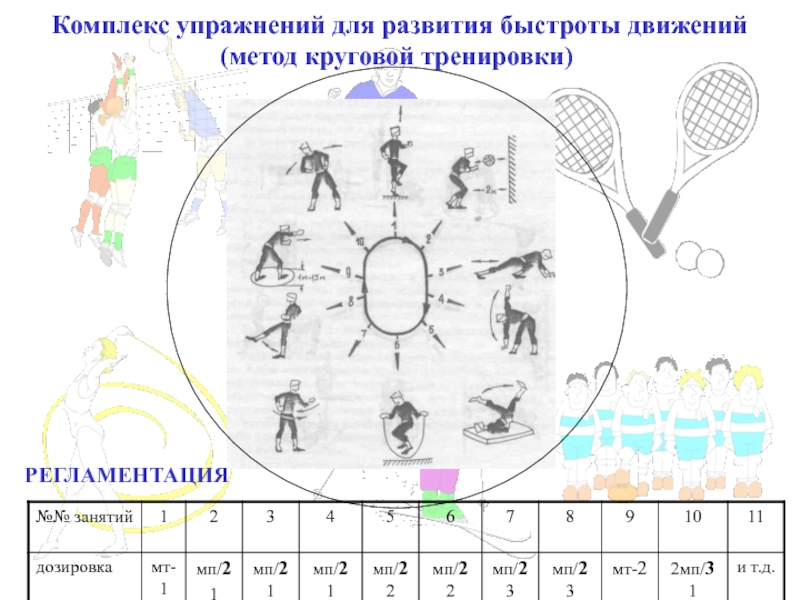 План конспект круговой тренировки по офп