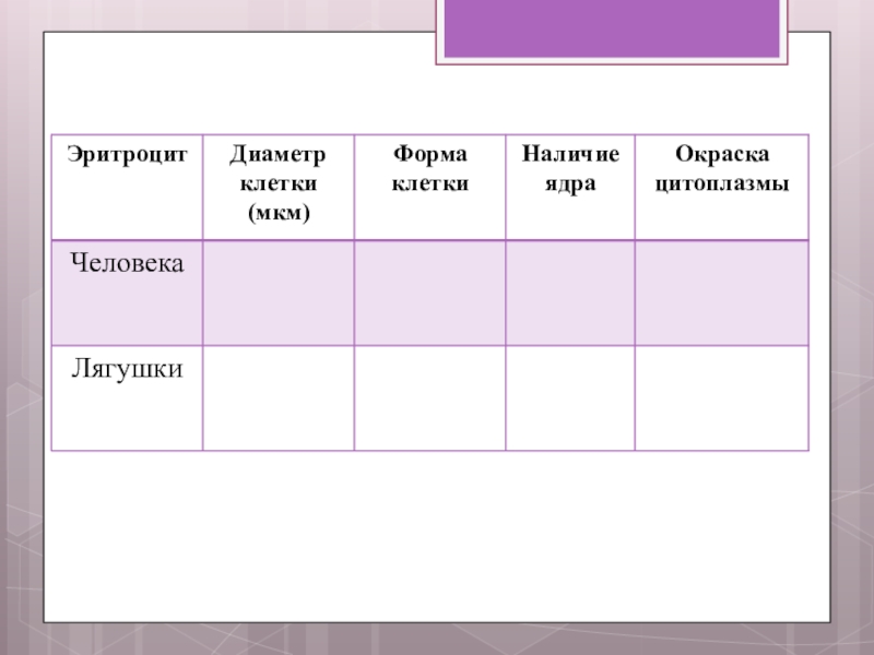 Форма эритроцитов лягушки. Окраска цитоплазмы эритроцитов человека. Эритроциты форма наличие ядра. Окраска цитоплазмы человека и лягушки. Цвет цитоплазмы эритроцитов лягушки и человека.