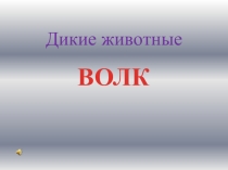 Презентация по окружающему миру на тему Дикие животные.Волк (1 класс)