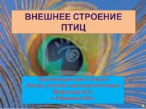 Презентация по биологии на тему: Внешнее строение птиц(7 класс)