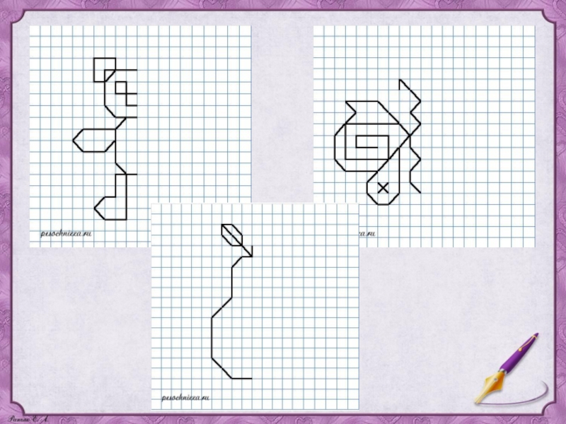 Рисунки по клеточкам в тетради с направлением