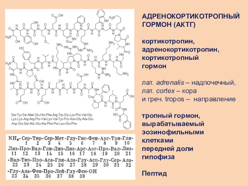 Актг гормон. Химическое строение адренокортикотропного гормона. Адренокортикотропный гормон химическая формула. Адренокортикотропный гормон структура. АКТГ формула структурная.