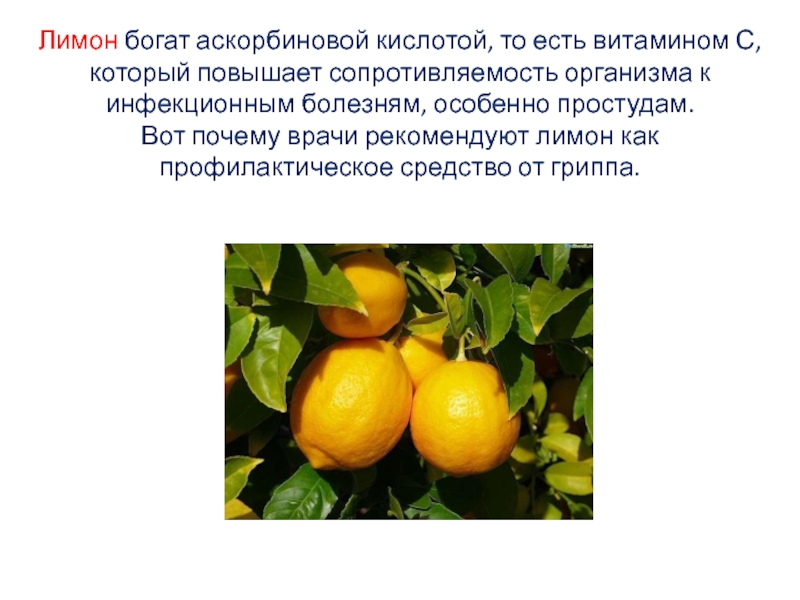 Лимон богат аскорбиновой кислотой, то есть витамином С, который повышает сопротивляемость организма к инфекционным болезням, особенно