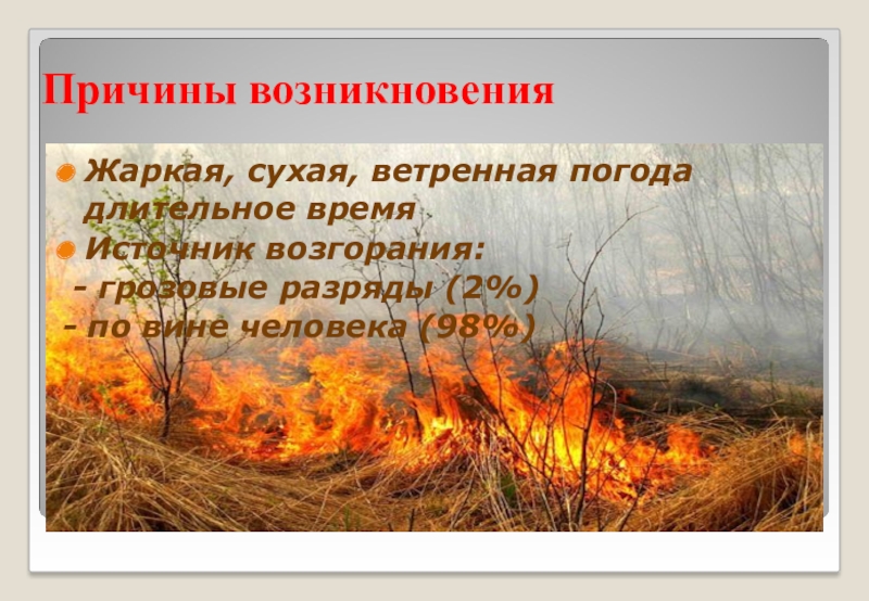 Жаркие и сухие. Естественные причины Лесные пожары грозовые разряды. Причина возникновения природных пожаров – Грозовой разряд. Гипотеза на тему Лесные пожары. Источник возгорания.