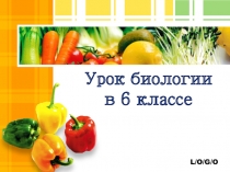 Презентация к уроку биологии Плоды и семена 6 класс