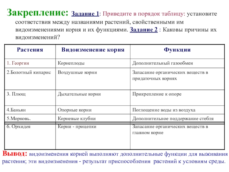 Таблица по биологии 6 класс корни. Таблица по биологии 6 видоизменения корней. Видоизмененные корни биология таблица. Видоизменения корня таблица 6 класс. Видоизмененные корни таблица 6 класс биология.