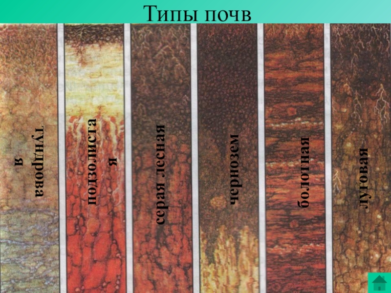 Основные сведения о почвах красноярского края. Типы почв. Типы почв Красноярского края. Четыре вида почвы. Типы почв в Красноярском крае.