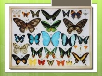 Презентация Ер аҫты байлығы