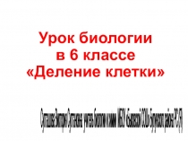 Современный урок в свете требований ФГОС по биологии для 6 класса Деление клетки