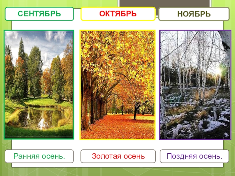 Проект по окружающему миру 2 класс времена года