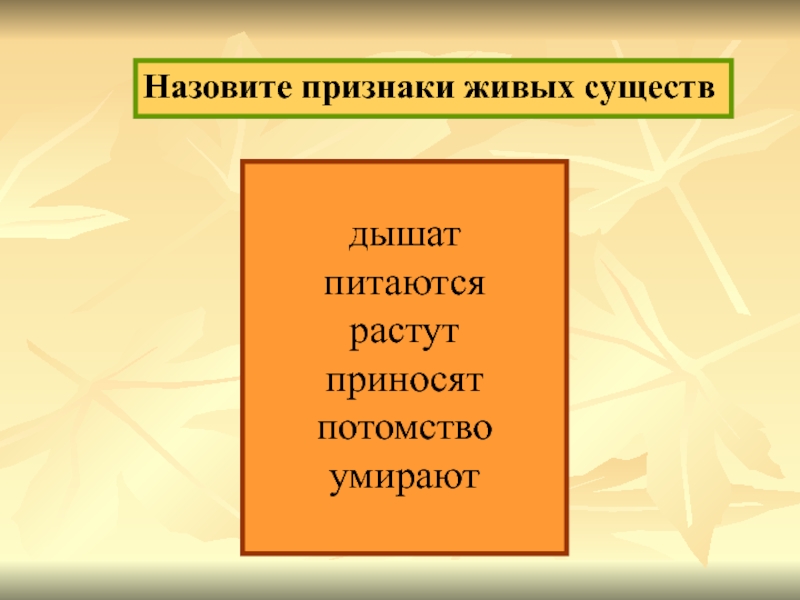 Признаки живых существ 2 класс схема