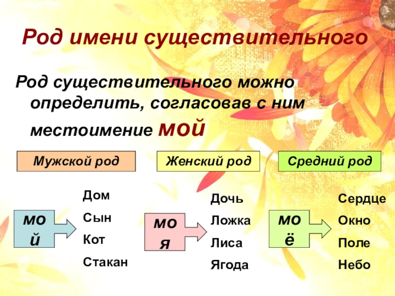 Род имени существительного торт