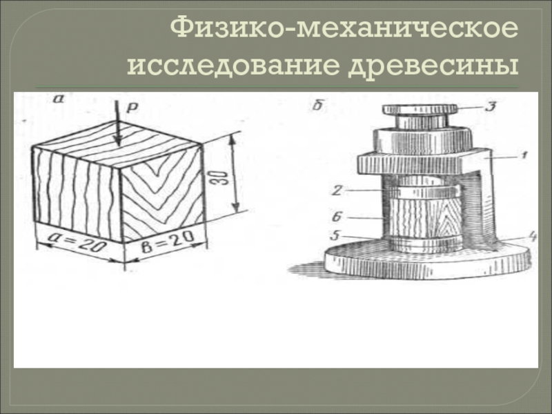 Исследование древесины. Лентаб комплекс для исследования древесины.