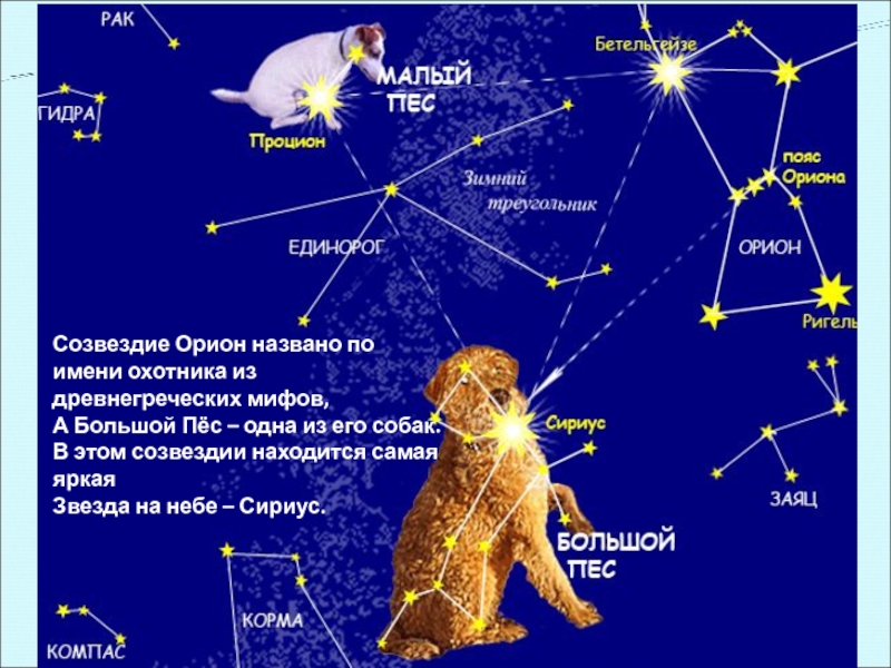 Созвездие Орион названо по имени охотника из древнегреческих мифов,А Большой Пёс – одна из его собак.В этом