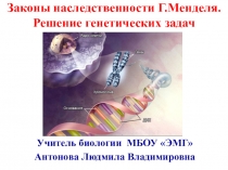 Презентация по биологии на тему Решение генетических задач (9 класс)