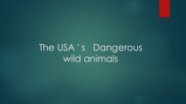 Презентация пр английскому языку по темеThe USA's Dangerous Wild Animals