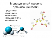 Презентация по теме Молекулярный и клеточный уровни организации жизни (5 кл.)