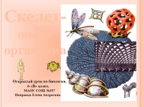 Презентация к открытому уроку на тему Скелет-опора организма