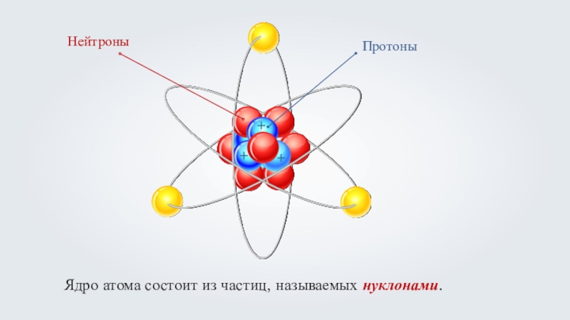 Ядро атома образуют. Из чего состоит атомное ядро. Ядро атома состоит из. Схема атома нейтрона ядро. Из чего состоит ядро атома.
