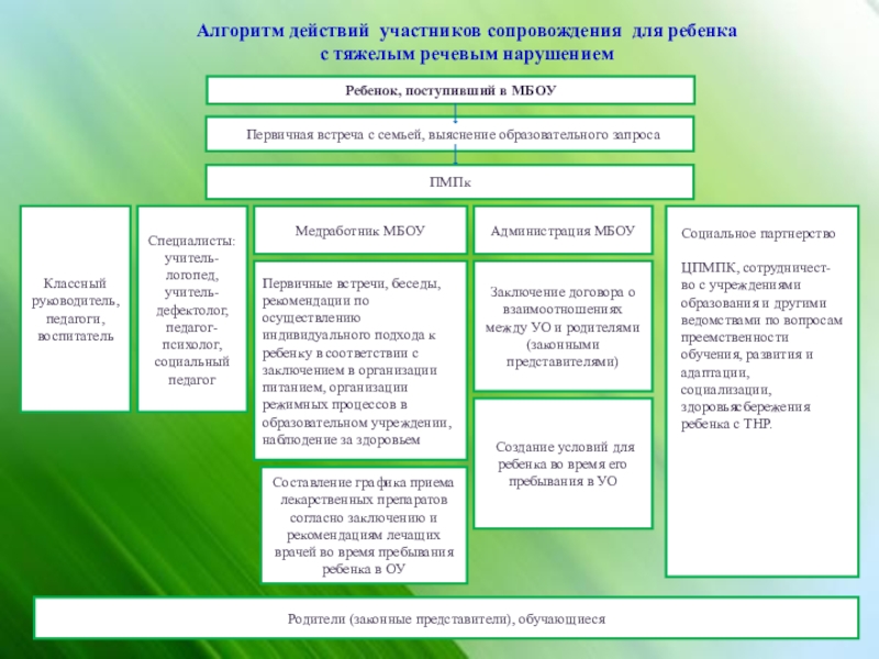 Учебный план школ для детей с тяжелыми нарушениями речи