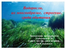 Презентация к уроку Водоросли, их многообразие, строение, среда обита