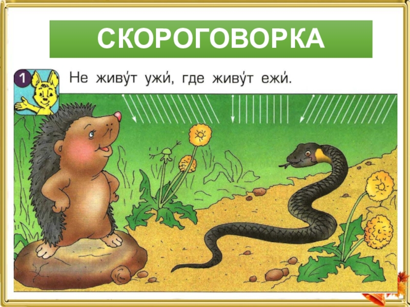 Рисунок ежа и ужа