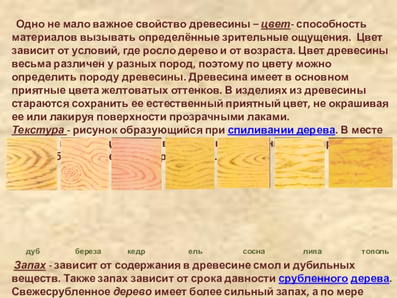 Тест свойство древесины. Свойства древесины 6 класс. Звуковые свойства древесины. Деформативные свойства древесины. Свойство древесины выдерживать определенные.