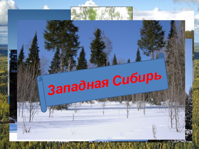 Реферат: Западная Сибирь как ПТК