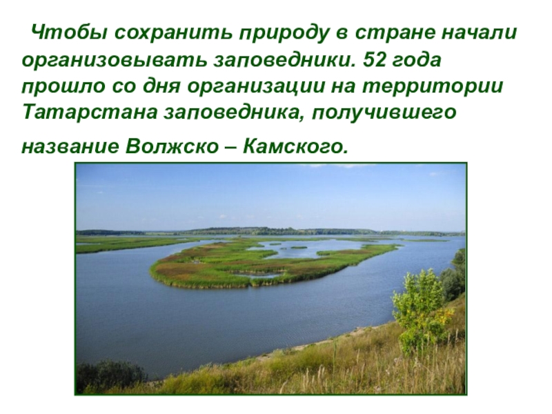 Заповедники татарстана. Сообщение о заповедниках Татарстана четвёртый класс Бугульме. Информация заповедниках Татарстана сократить. Информация о первых заповедниках Татарстана сократить. Заповедник Татарстана 10 предложений рассказ.