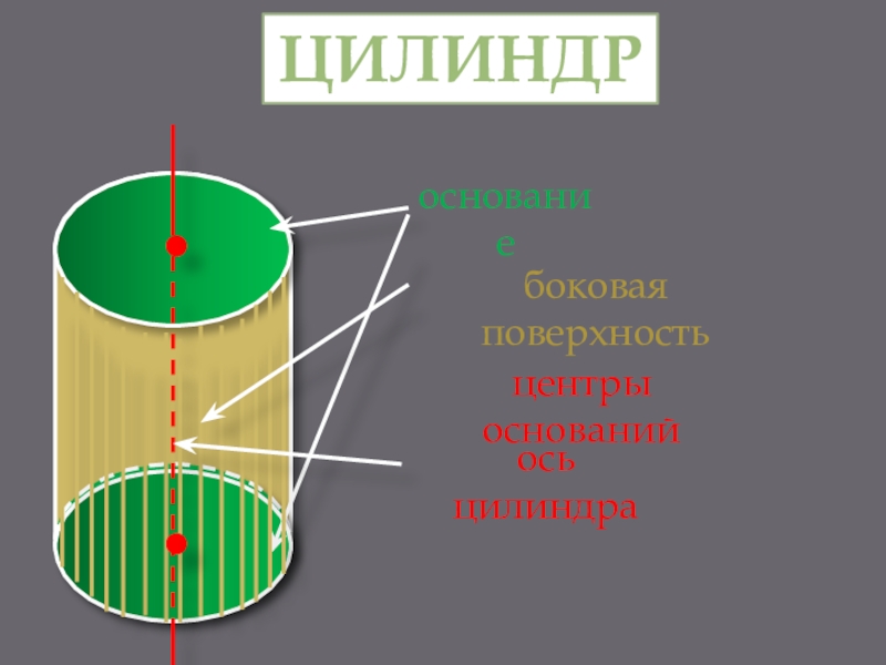 Круглые тела 6 класс презентация