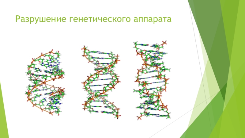 Роль генетического аппарата. Генетический аппарат рисунок. Генетические приборы. ДНК геном. Генетические структуры изменение.