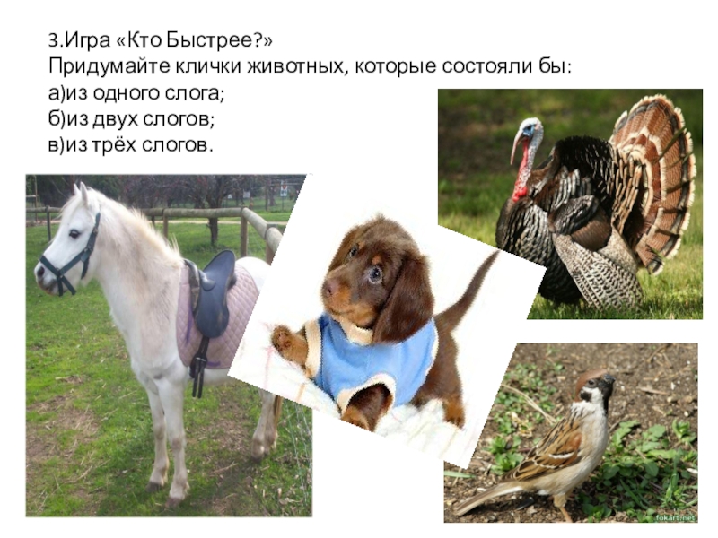 Придумай клички животным. Придумать предложение на одну букву. Придумайте скорее. Мемы про фанфики. Придумайте скорее.