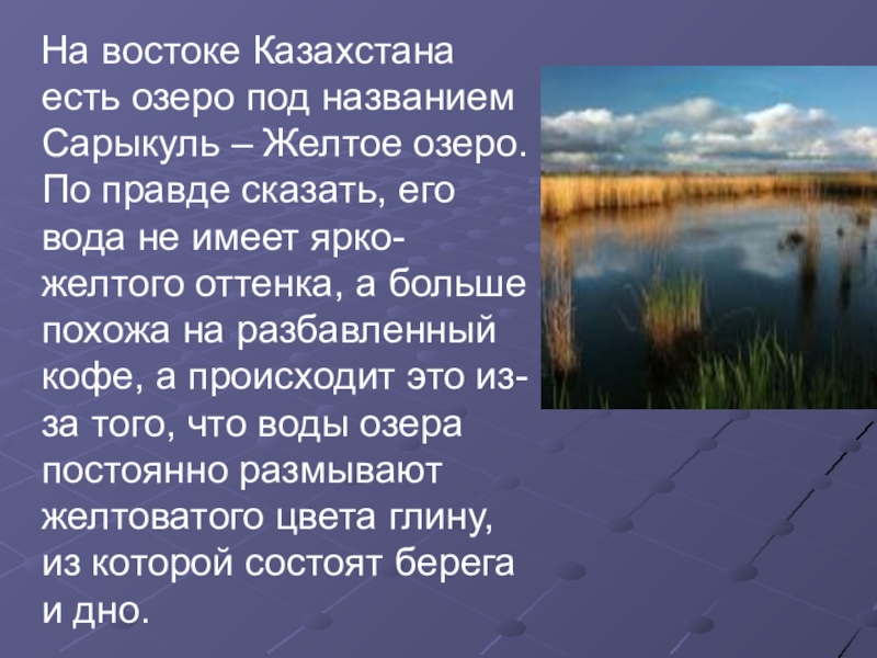 На востоке Казахстана есть озеро под названием Сарыкуль – Желтое озеро. По правде сказать, его