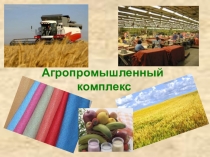 Презентация по географии на тему Агропромышленный комплекс Пищевая и легкая промышленность