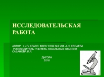Презентация по внеклассному часу на тему  Хлеб всему голова ДЛЯ ПОЛУЧЕНИЯ МУКИ МЫ ВЗЯЛИ ПШЕНИЦУ,ОЧИСТИЛИ ЗЕРНА ОТ ЧЕШУЕК.РАЗМОЛОЛИ ЗЕРНО С ПОМОЩЬЮ КОФЕМОЛКИ.ПОЛУЧИЛИ МУКУ С ОТРУБЯМИ ,ПРОСЕЯЛИ ЧЕРЕЗ СИТО.ДАЛЬНЕЙШИЕ ЭТАПЫ ПРАКТИЧЕСКОЙ РАБОТЫ МЫ ПЕРЕНЕСЛИ В 