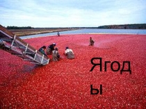 Презентация к окружающему миру на тему Ягоды