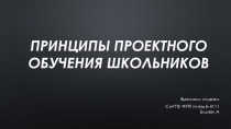 Принципы проектного обучения школьников