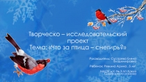 Детский проект на тему: Что за птица снегирь