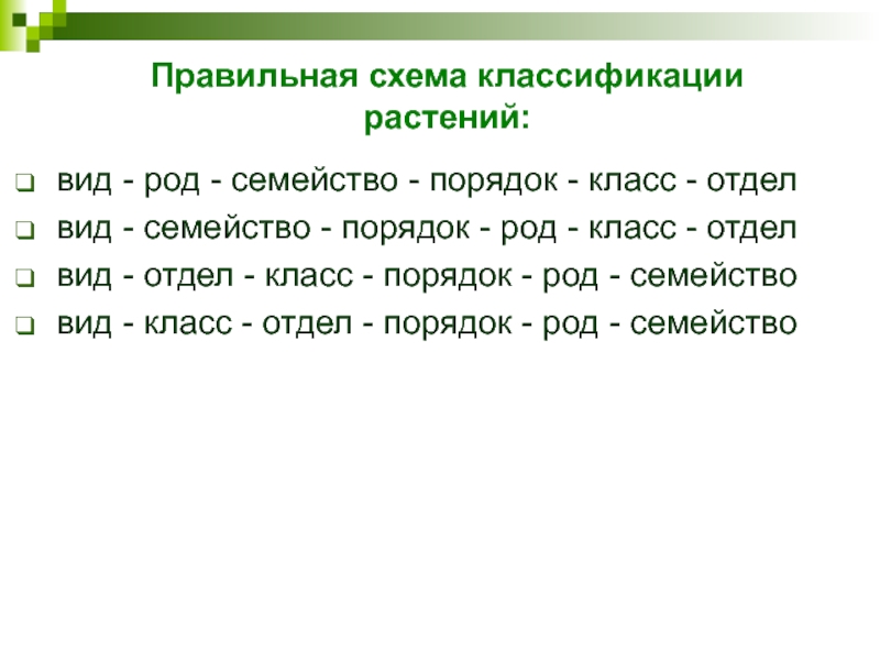 Правильная схема классификации растений:  вид - род - семейство - порядок - класс - отдел   вид - семейство - порядок - род - класс - отдел  вид - отдел - класс - порядок - род - семейство  вид - класс - отдел - порядок - род - семейство