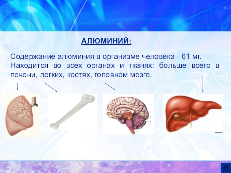 Биологическая роль алюминия презентация