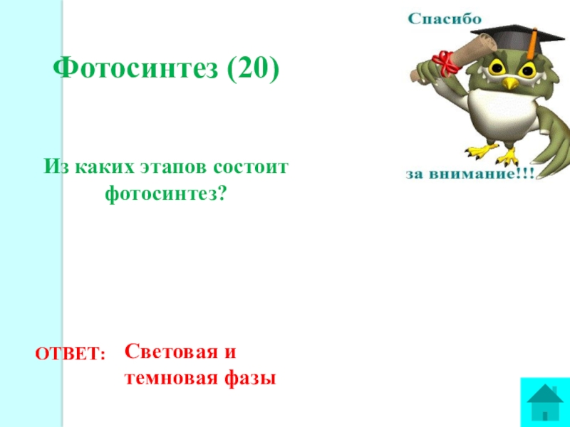 Из каких этапов состоит. Тест основные процессы жизнедеятельности растений 6 класс Пономарева. Как урегулируются процессы жизнедеятельности у растений.