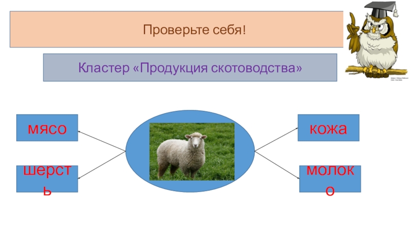 Составьте схему кластер животноводство