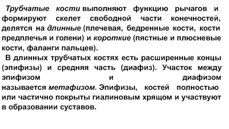 Кости выполняют функции. Сделайте вывод о связи строения костей с их выполняемыми функциями.