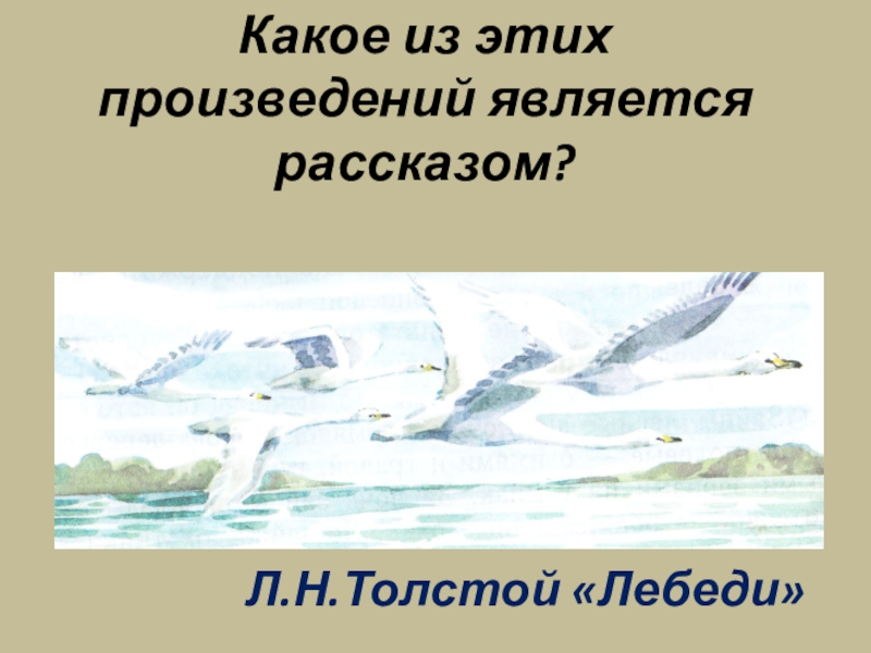 Лебедь толстой 3. Л Н толстой рассказ лебеди текст. Произведение Толстого про лебедя. Лев Николаевич толстой произведение лебедь. Л.толстой лебеди 3 класс.