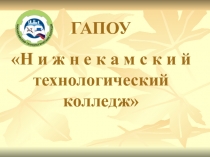 Презентация на конкурс Лучший преподаватель-2015.