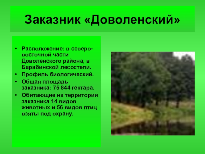 Заказник это. Доволенский заказник Новосибирской. Заповедник Новосибирской области заповедник Доволенский. Заказники Новосибирской области. Заповедники и заказники НСО.