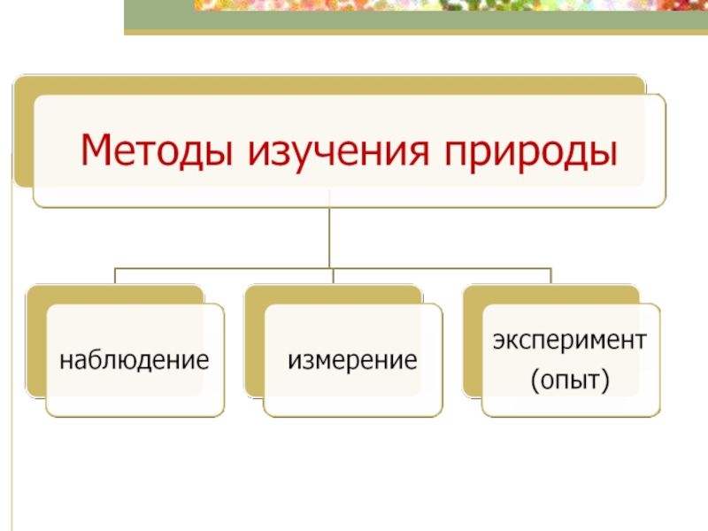 Научные методы изучения природы. Методы изучения природы. Методы методы изучения природы. Способымзучения природы.